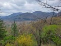 Продава КЪЩА, област София, с. Церово • 42000 € • 24921364 — Holmes.bg