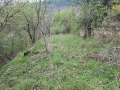 Продава КЪЩА, област София, с. Церово • 42000 € • 24921364 — Holmes.bg
