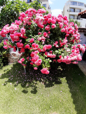 ������� ���� | Imot.bg � ����� ������ 12