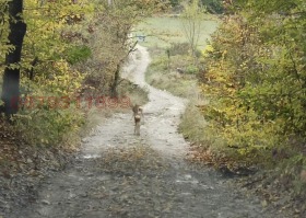 ������� ������ | Imot.bg � ����� ������ 6