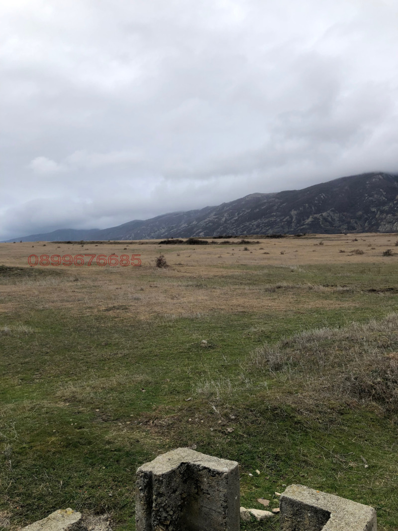 Продава ЗЕМЕДЕЛСКА ЗЕМЯ, с. Васил Левски, област Пловдив, снимка 4 - Земеделска земя - 52844625