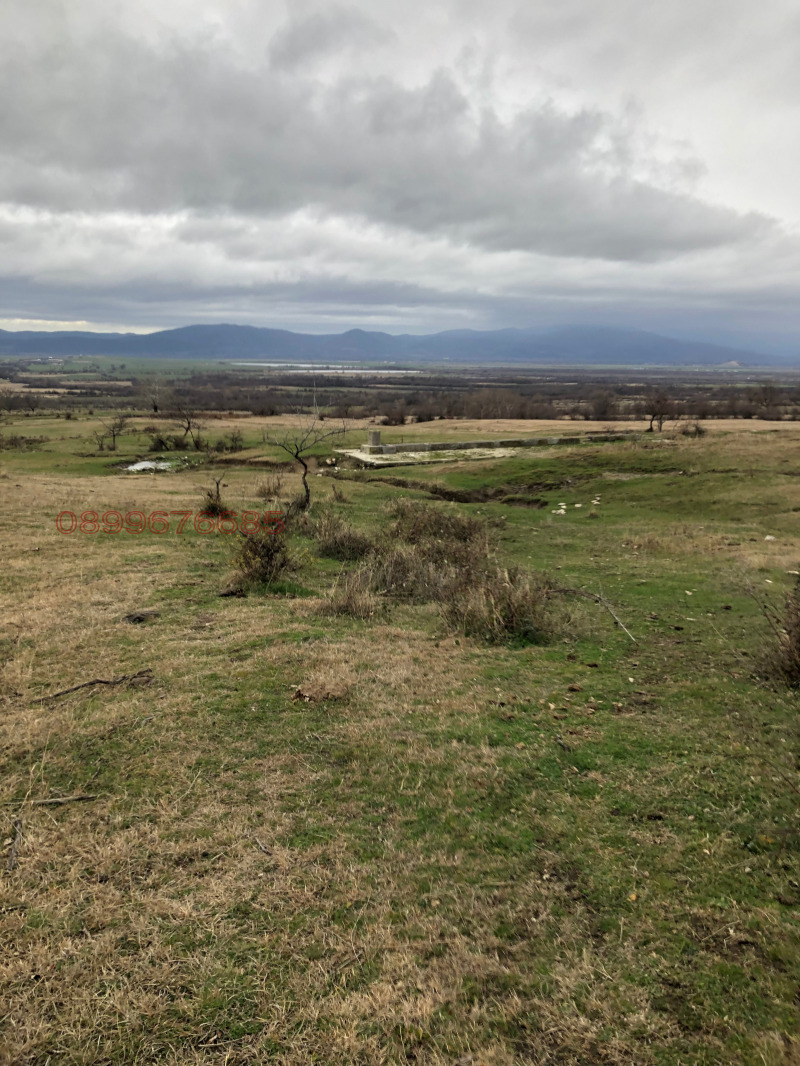 Продава ЗЕМЕДЕЛСКА ЗЕМЯ, с. Васил Левски, област Пловдив, снимка 5 - Земеделска земя - 52844625