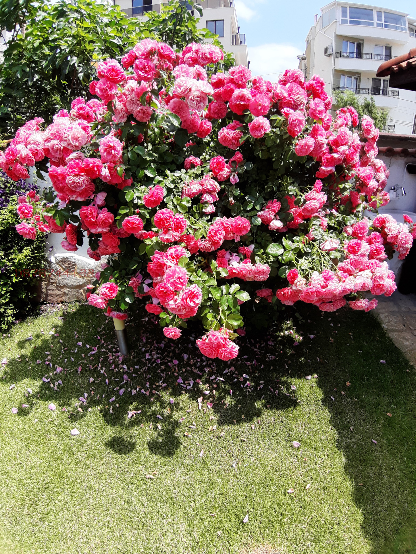 Продава КЪЩА, гр. Бургас, Сарафово, снимка 11 - Къщи - 54048976