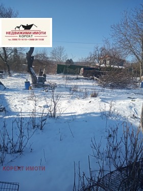 ����� ������� ������,���� �����, �������