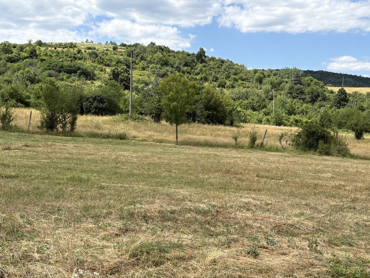 Продава ПАРЦЕЛ, гр. Берковица, област Монтана, снимка 3 - Парцели - 55553152