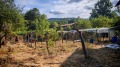 Продава КЪЩА, с. Гарван, област Габрово, снимка 2