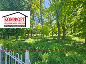 ������ ������� ����