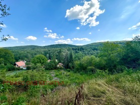 Trama Malki tchiflik, região Veliko Tarnovo 1