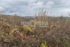 ������� ������ | Imot.bg � ����� ������ 7