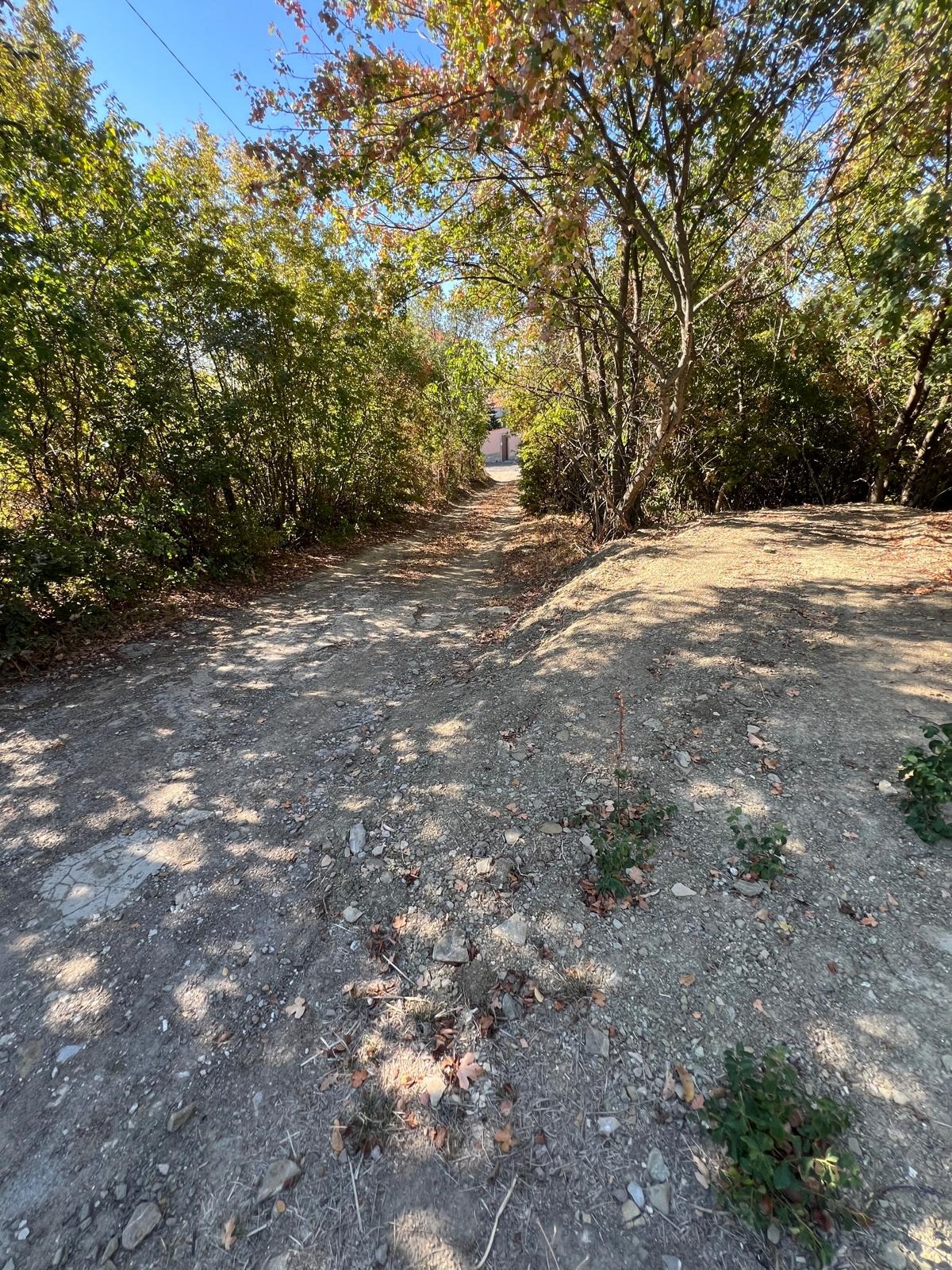 ������� ������ | Imot.bg � ����������� 17