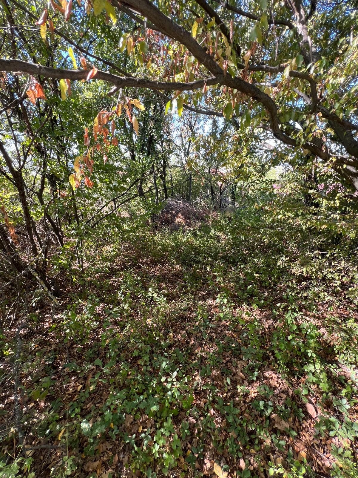 ������� ������ | Imot.bg � ����������� 9