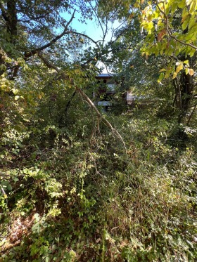 ������� ������ | Imot.bg � ����� ������ 10