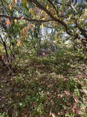 ������� ������ | Imot.bg � ����� ������ 9