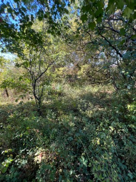 ������� ������ | Imot.bg � ����� ������ 6