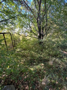 ������� ������ | Imot.bg � ����� ������ 3