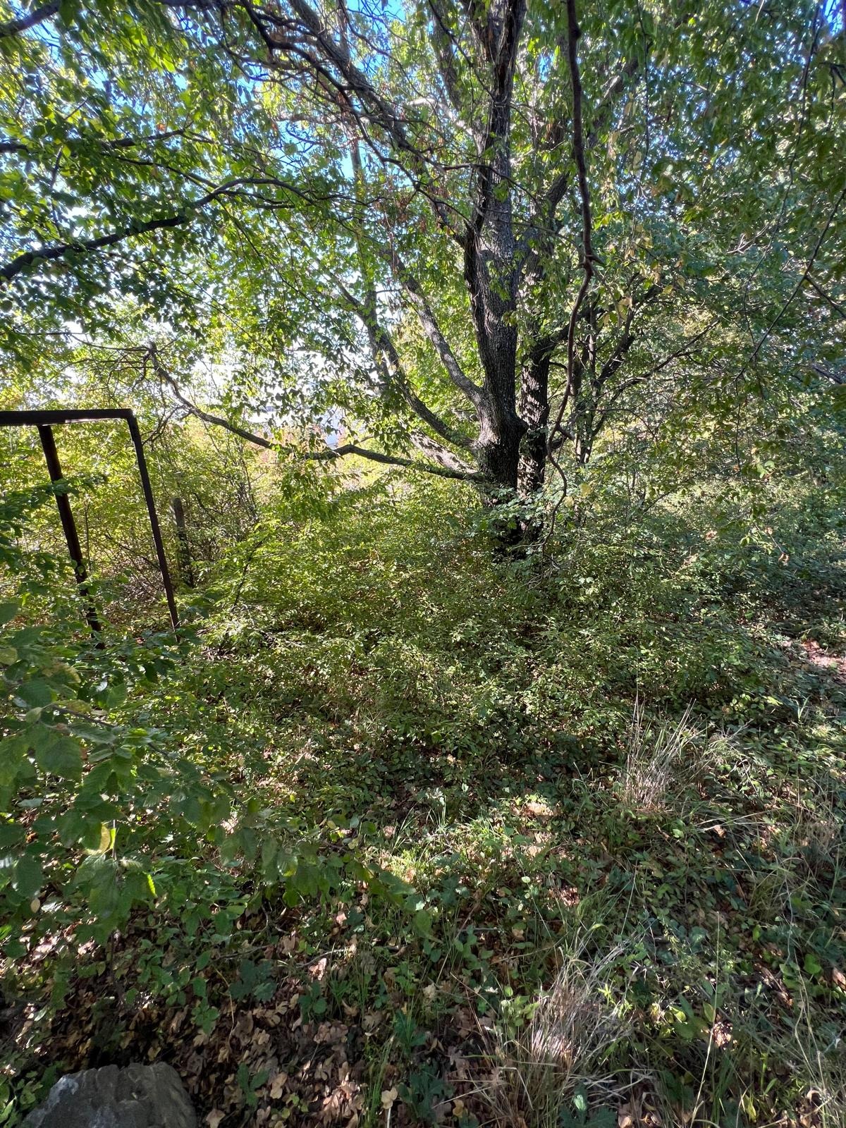 Продава ПАРЦЕЛ, с. Кошарица, област Бургас, снимка 3 - Парцели - 54704187