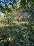 Продава ПАРЦЕЛ, с. Кошарица, област Бургас, снимка 6