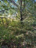 Продава ПАРЦЕЛ, с. Кошарица, област Бургас, снимка 3