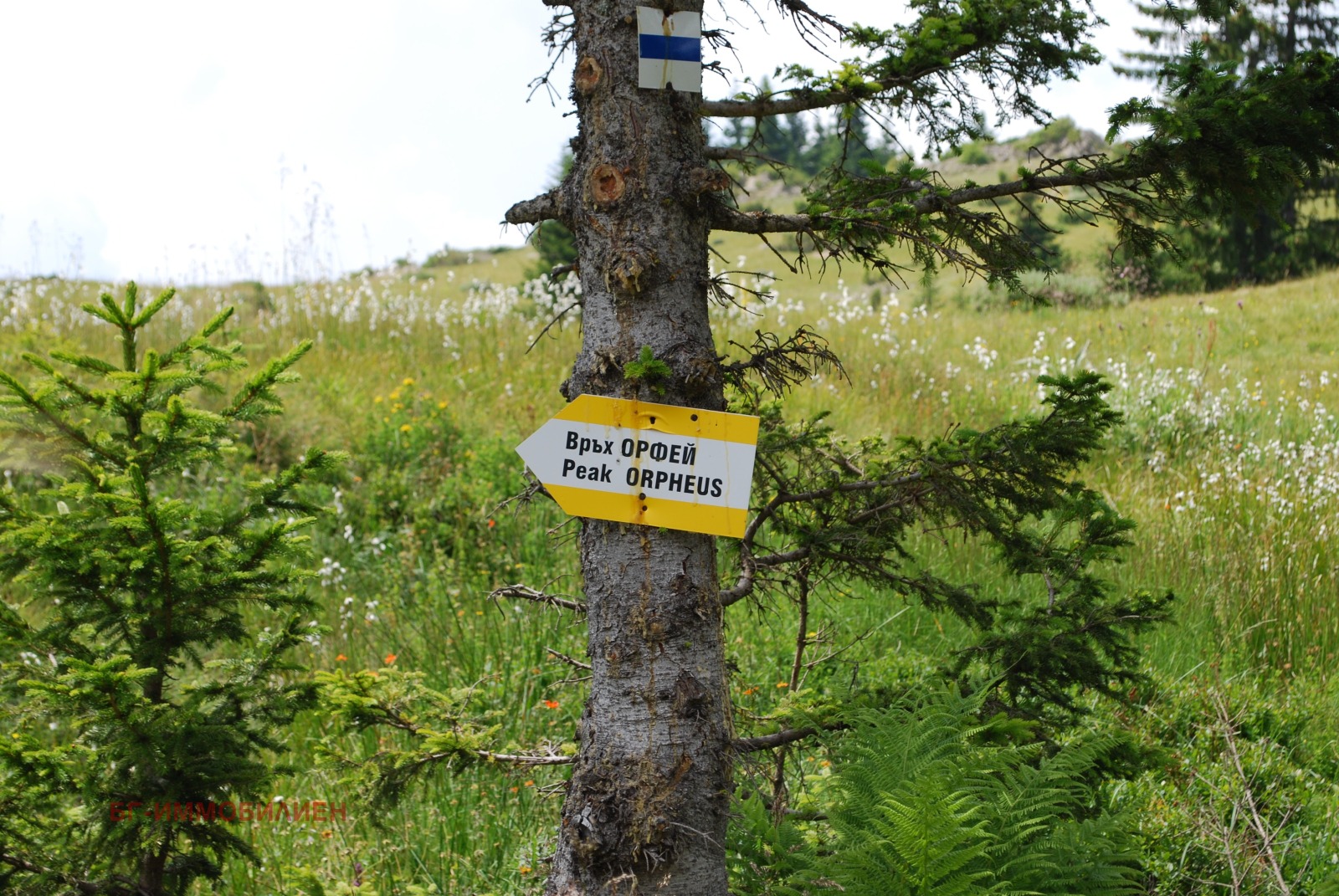 ������� 1-����� | Imot.bg � ����������� 2