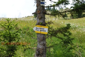 ������� 1-����� | Imot.bg � ����� ������ 2