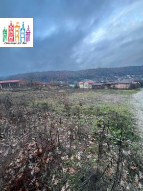 Plot Lobosh, region Pernik 1