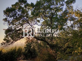 ������� ������ | Imot.bg � ����� ������ 9