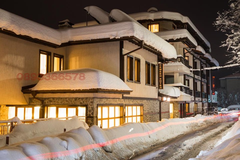 À vendre  Bar; Café région Blagoevgrad , Bansko , 641 m² | 61653222 - image [10]