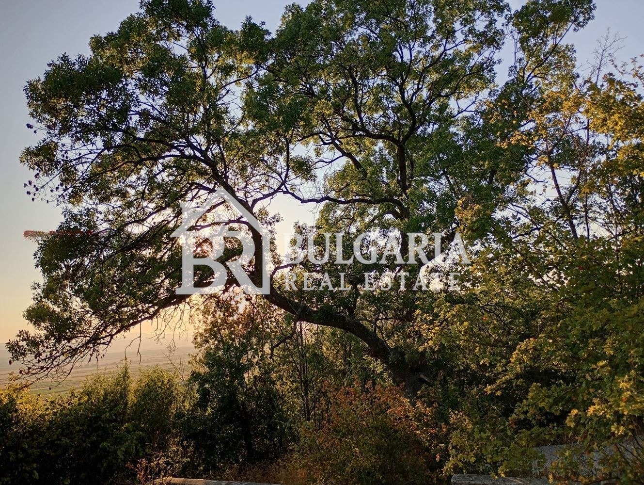 Продава ПАРЦЕЛ, с. Кошарица, област Бургас, снимка 9 - Парцели - 53993134