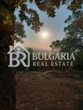 Продава ПАРЦЕЛ, с. Кошарица, област Бургас, снимка 6