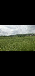 Продава ПАРЦЕЛ, с. Рогачево, област Добрич, снимка 2