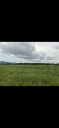 Продава ПАРЦЕЛ, с. Рогачево, област Добрич, снимка 3