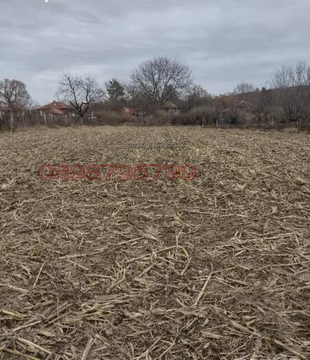 ������� ������ | Imot.bg � ����������� 3