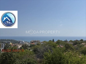 ����� ������� ����,���� �����, ����� ������