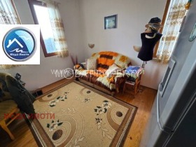 ����� ������� ����,���� �����, ����� ������>