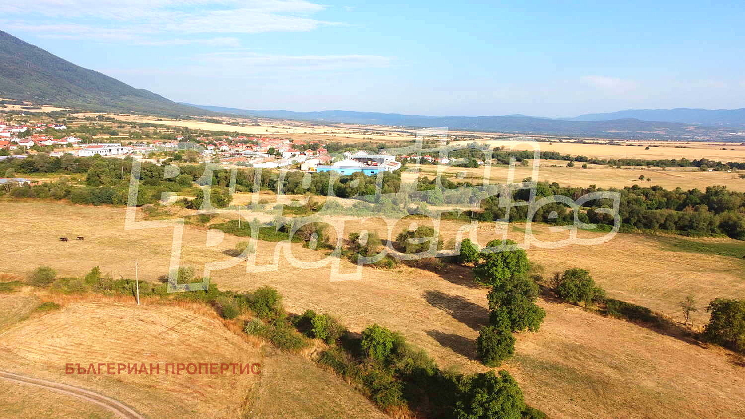 Продава ЗЕМЕДЕЛСКА ЗЕМЯ | Imot.bg — изображение 12