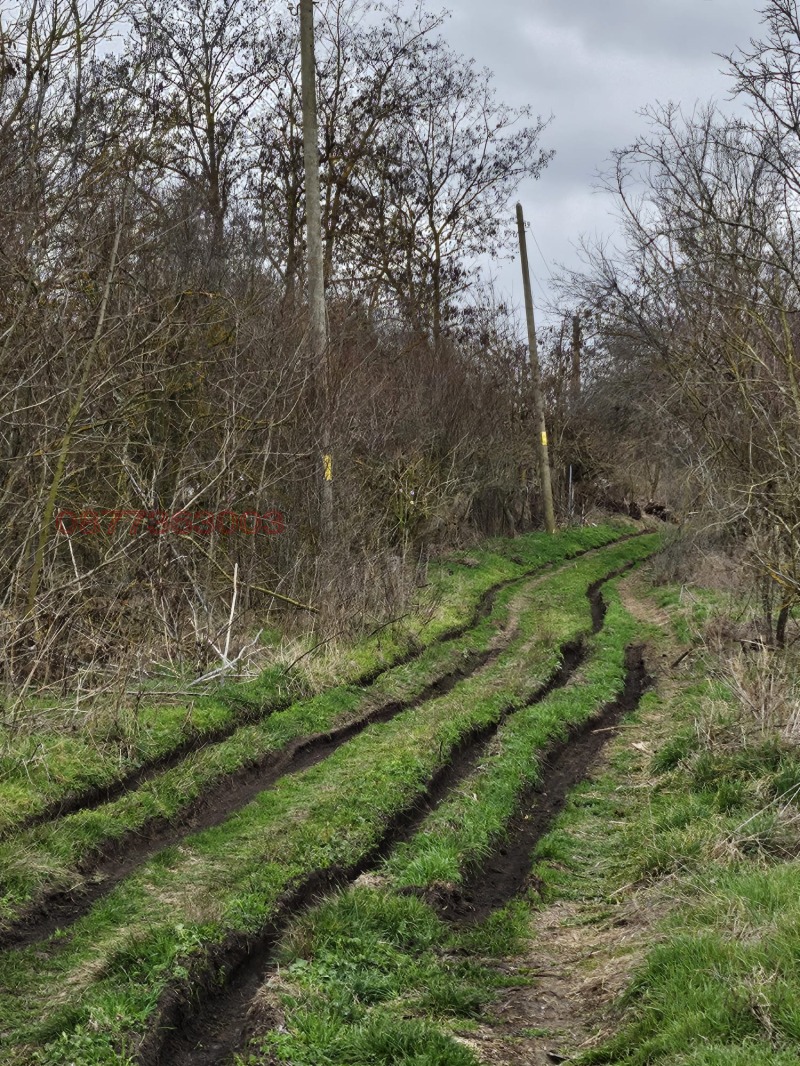 Продава ПАРЦЕЛ, с. Дюлево, област Бургас, снимка 4 - Парцели - 52752341