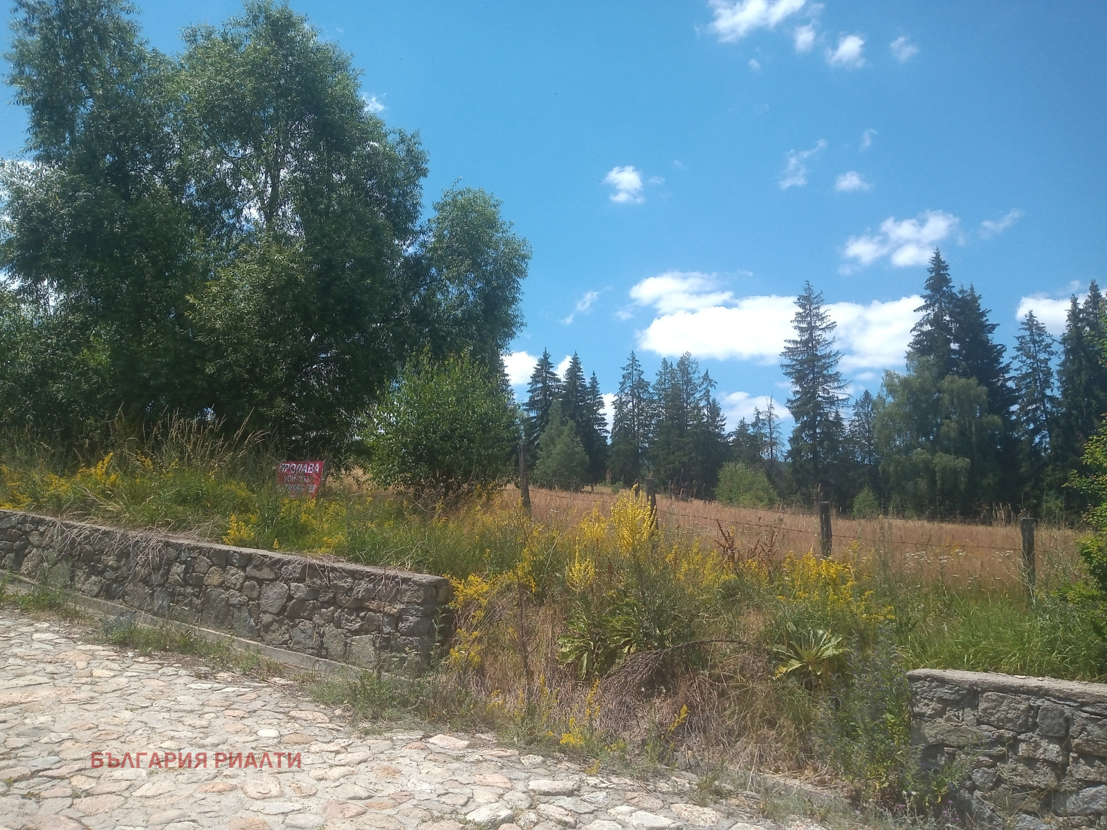 ������� ������ | Imot.bg � ����������� 5