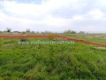Продава ПАРЦЕЛ, област Добрич, с. Топола • 40000 € • 58465028 — Holmes.bg