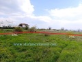 Продава ПАРЦЕЛ, област Добрич, с. Топола • 40000 € • 58465028 — Holmes.bg