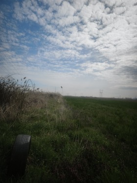 ����� ������� ������,�. ���������, ������ �������