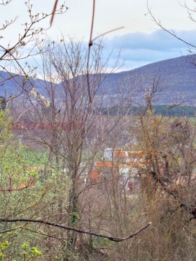������� ������ | Imot.bg � ����� ������ 8
