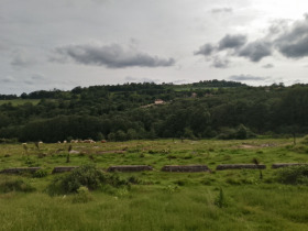 Land Solnik, region Varna 8