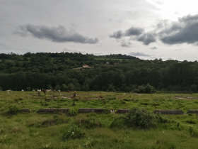 Land Solnik, regio Varna 5