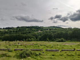 Land Solnik, region Varna 9