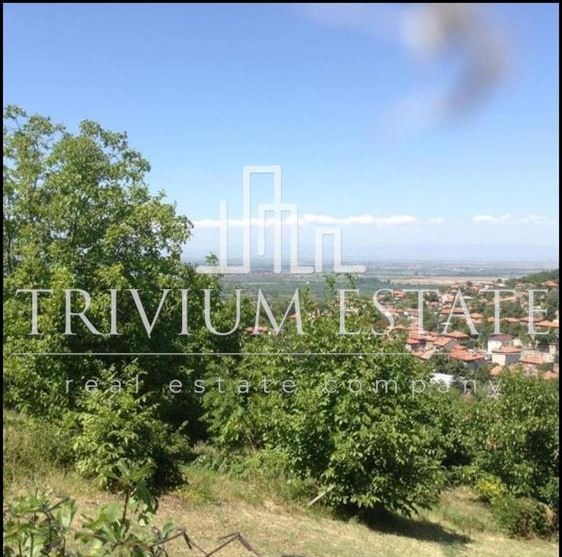 Продава ПАРЦЕЛ, с. Брестовица, област Пловдив, снимка 2 - Парцели - 53093351