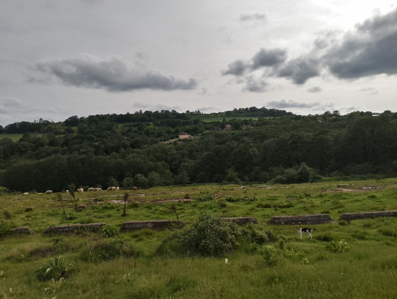 For Sale  Land region Varna , Solnik , 9 dka | 89499129 - image [3]