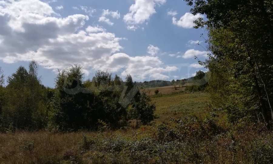 Продава ПАРЦЕЛ, с. Рибарица, област Ловеч, снимка 5 - Парцели - 53789338