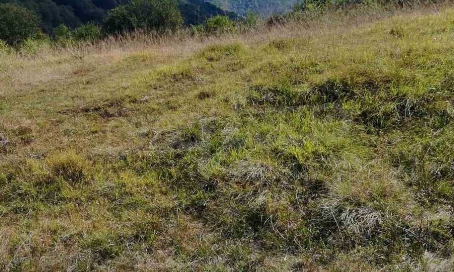 Продава ПАРЦЕЛ, с. Рибарица, област Ловеч, снимка 12 - Парцели - 53789338