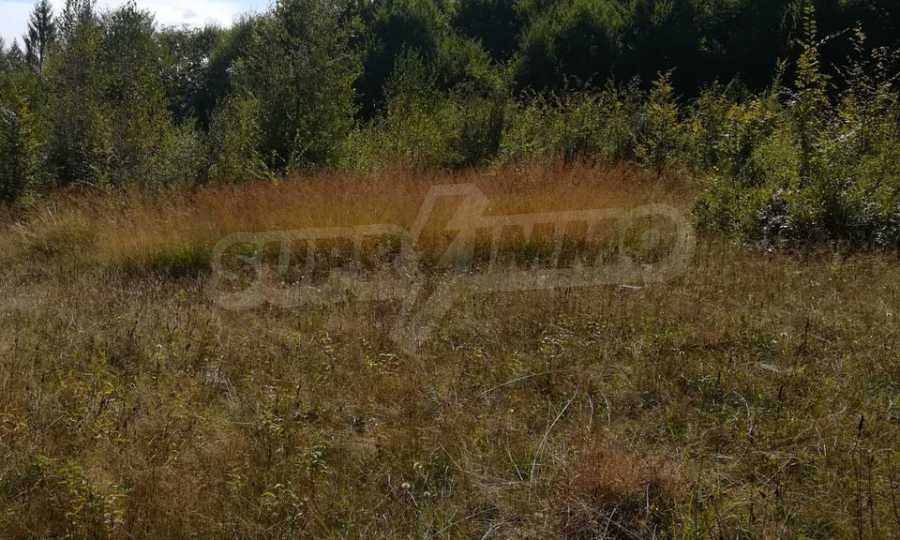 Продава ПАРЦЕЛ, с. Рибарица, област Ловеч, снимка 14 - Парцели - 53789338