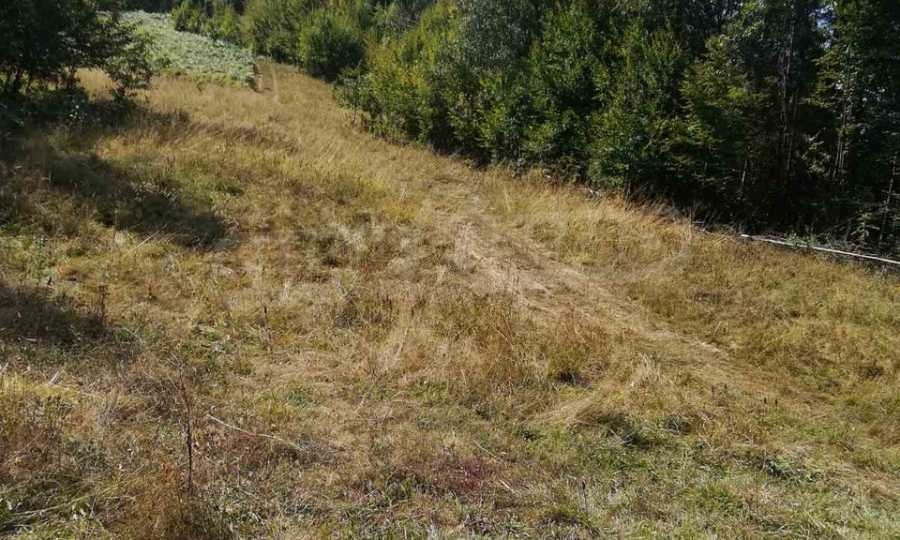 Продава ПАРЦЕЛ, с. Рибарица, област Ловеч, снимка 7 - Парцели - 53789338